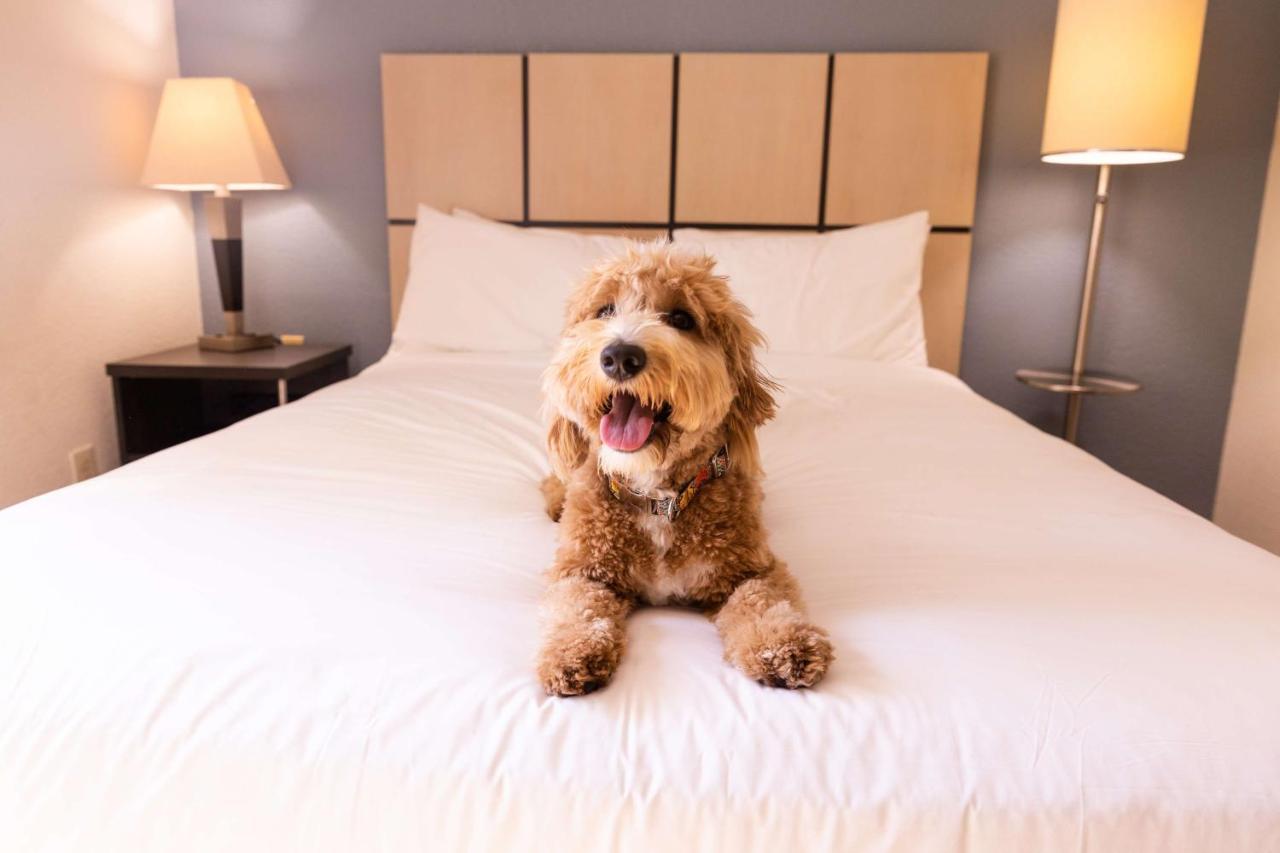 Sonesta Simply Suites Chicago Waukegan Exteriör bild